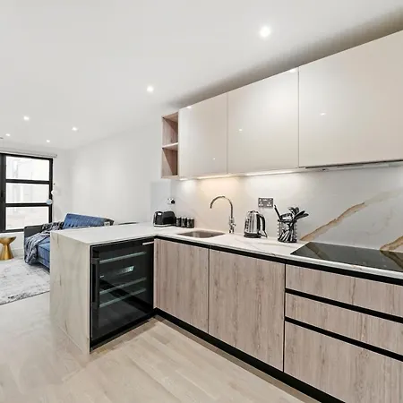 Executive 1 & 2 Bed Apartments In Heart Of London Free Wifi By City Stay Aparts Londra Esterno foto